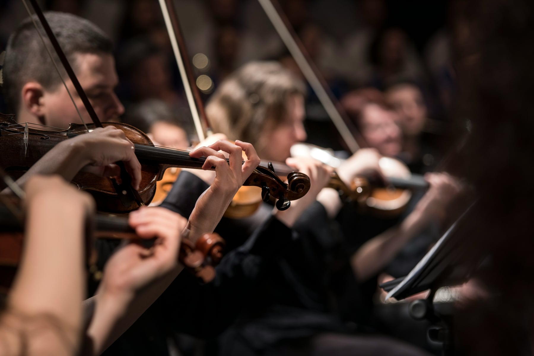 MUSIC AS THE ORGANIZING INTELLIGENCE.