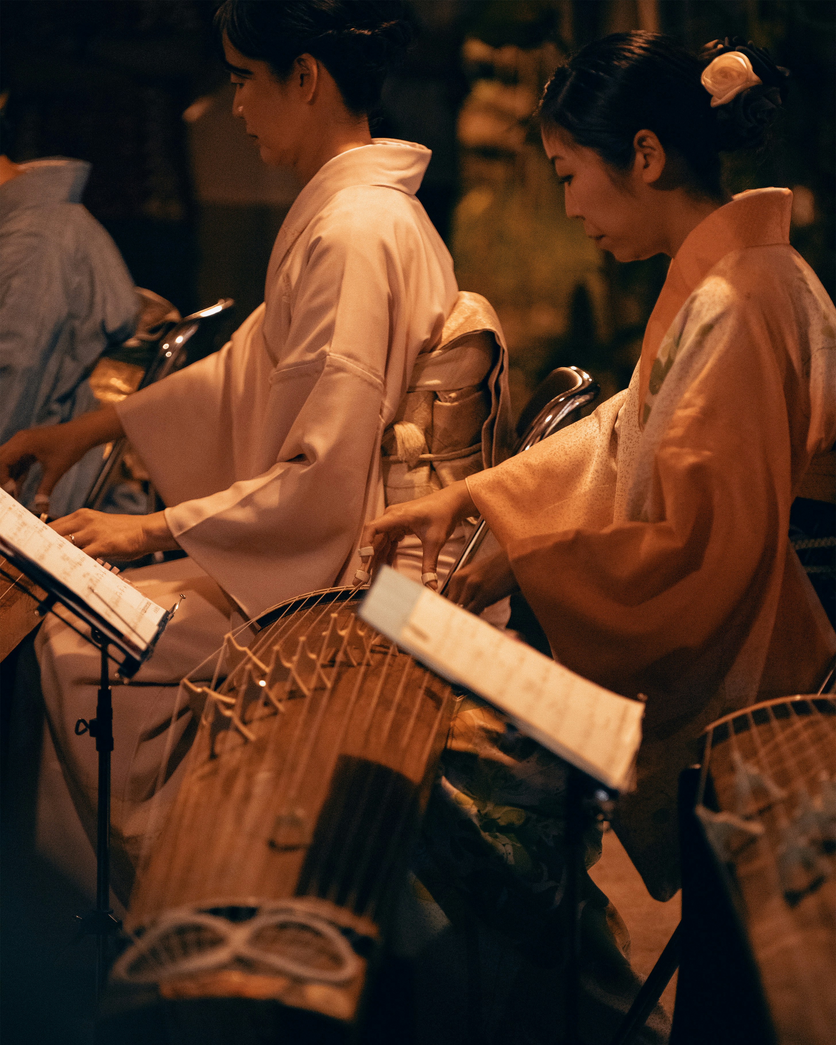 Musicians performing traditional Japanese koto music in an intimate setting.