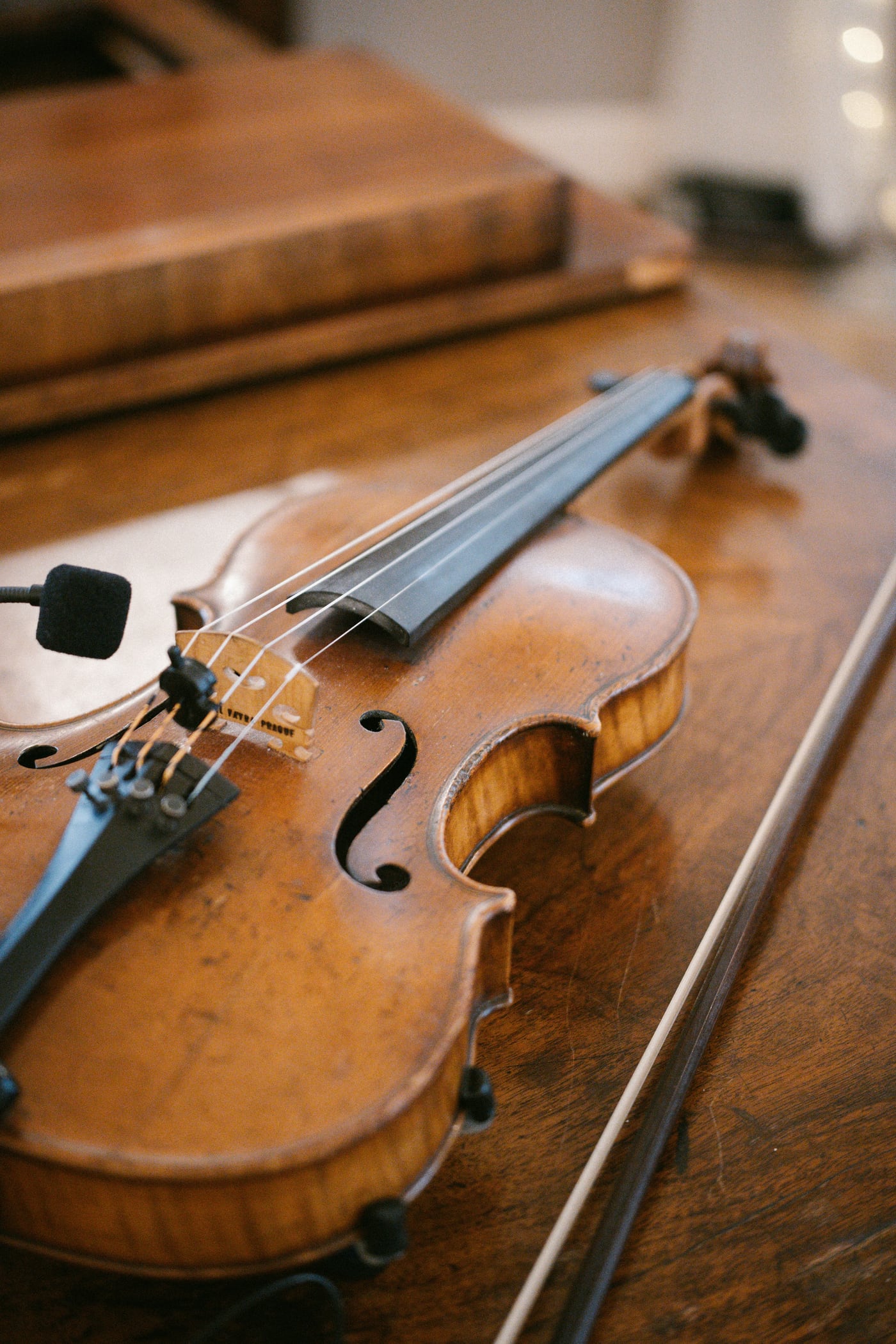 A violin displayed as part of a rare instrument collection.